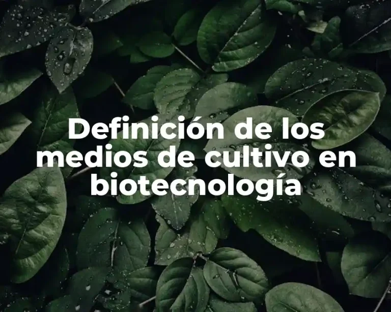 Definición de los medios de cultivo en biotecnología