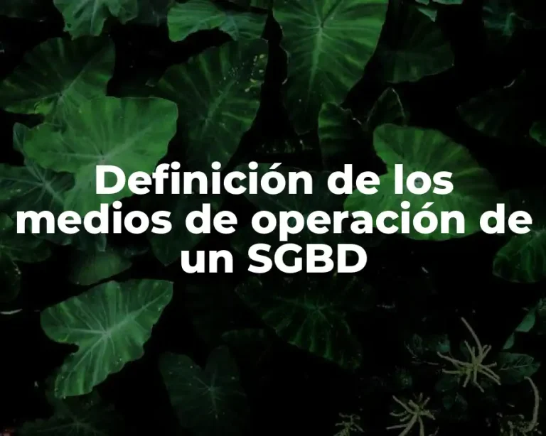 Definición de los medios de operación de un SGBD