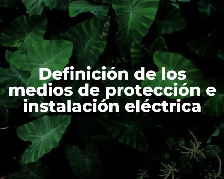 Definición de los medios de protección e instalación eléctrica