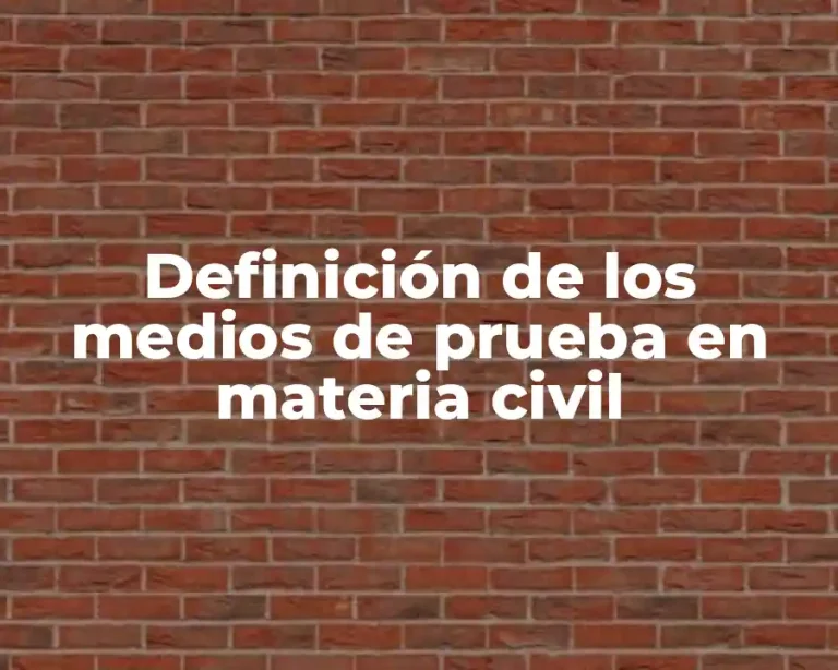 Definición de los medios de prueba en materia civil