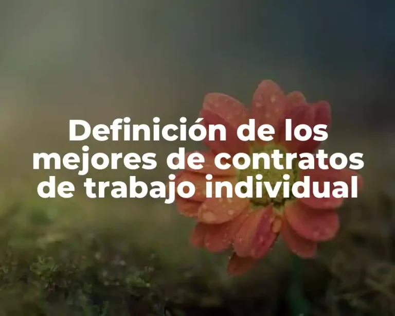 Definición de los mejores de contratos de trabajo individual