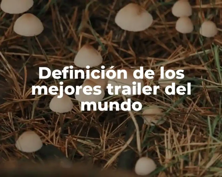 Definición de los mejores trailer del mundo