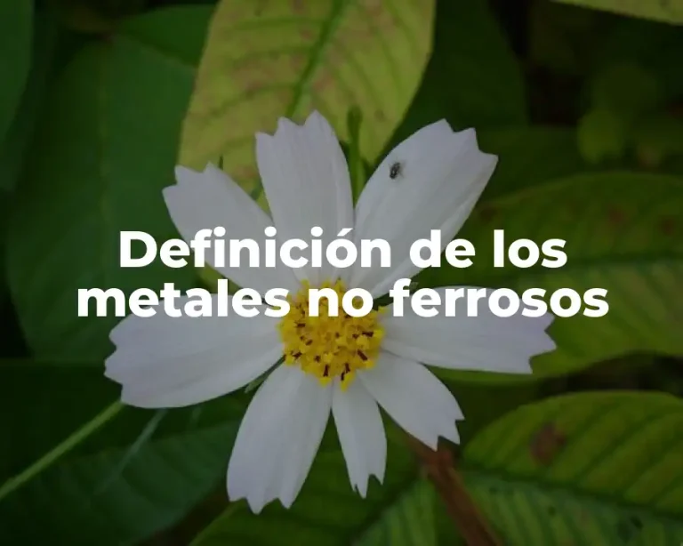 Definición de los metales no ferrosos