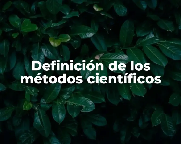 Definición de los métodos científicos