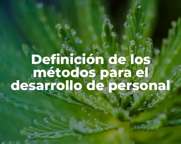 Definición de los métodos para el desarrollo de personal