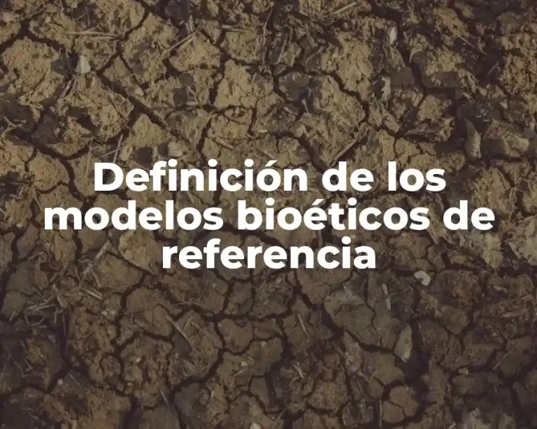 Definición de los modelos bioéticos de referencia