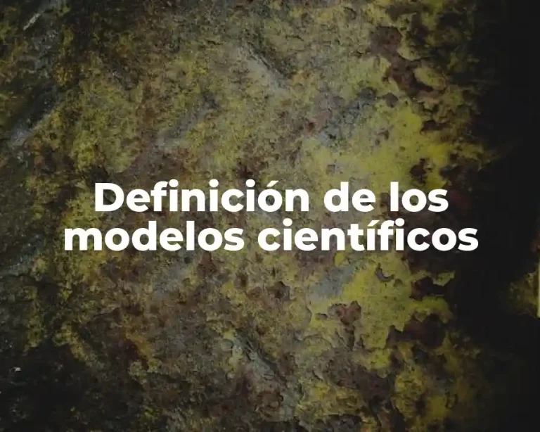 Definición de los modelos científicos