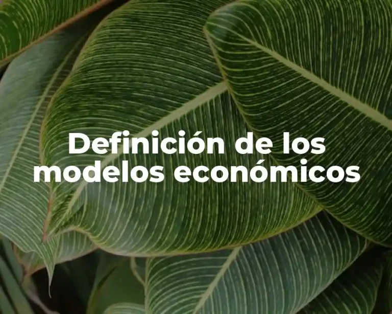 Definición de los modelos económicos