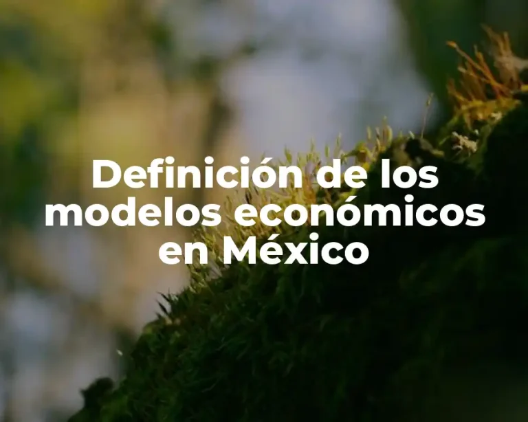 Definición de los modelos económicos en México