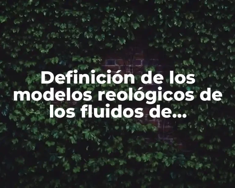 Definición de los modelos reológicos de los fluidos de perforación