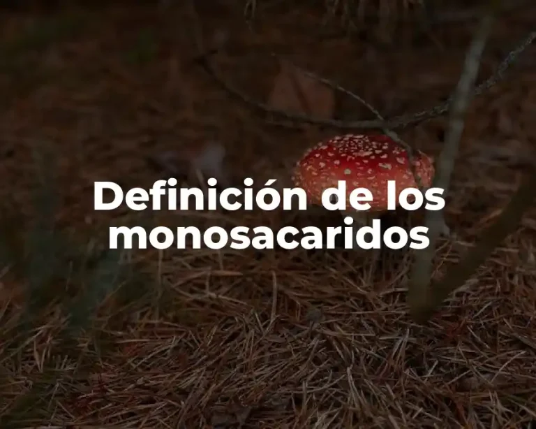 Definición de los monosacaridos