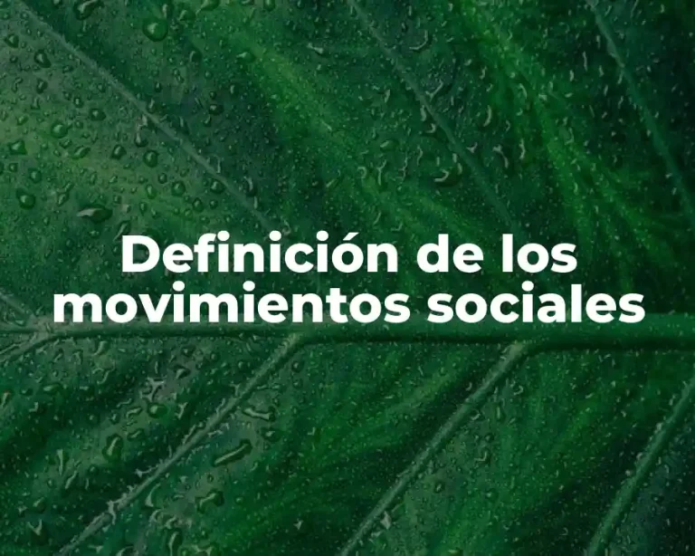 Definición de los movimientos sociales