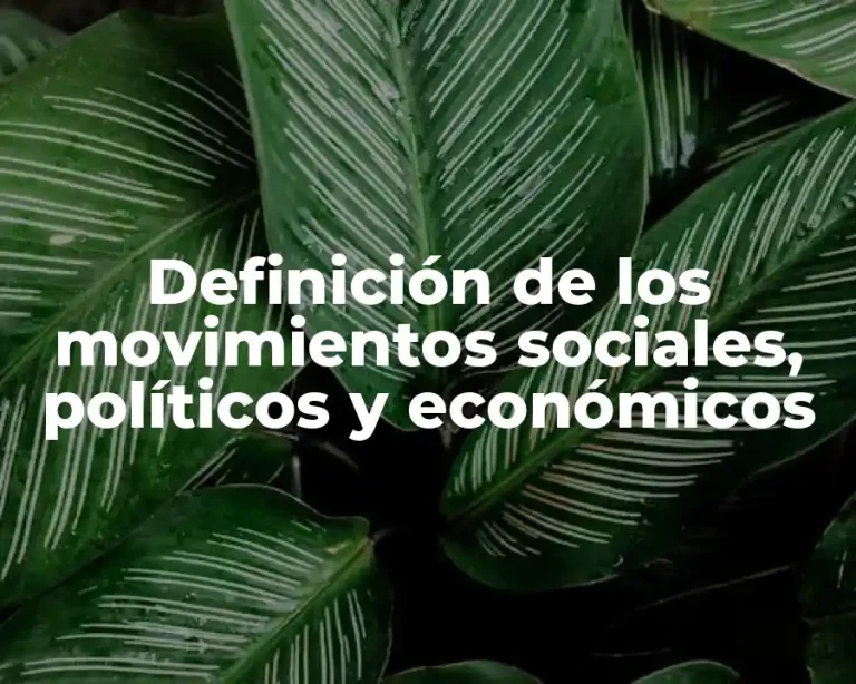 Definición de los movimientos sociales, políticos y económicos