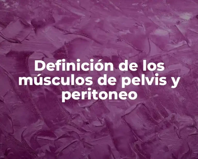 Definición de los músculos de pelvis y peritoneo