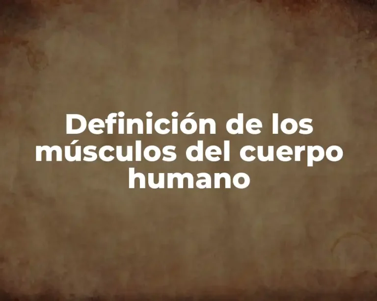 Definición de los músculos del cuerpo humano