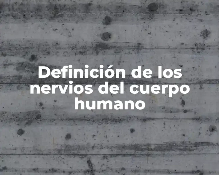 Definición de los nervios del cuerpo humano