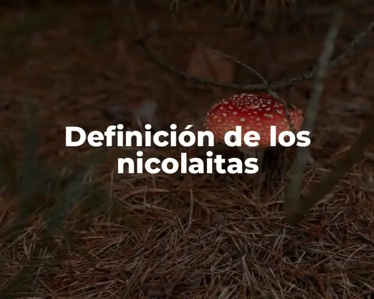 Definición de los nicolaitas