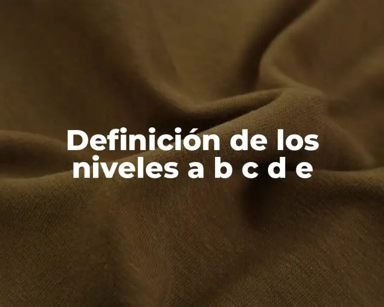 Definición de los niveles a b c d e