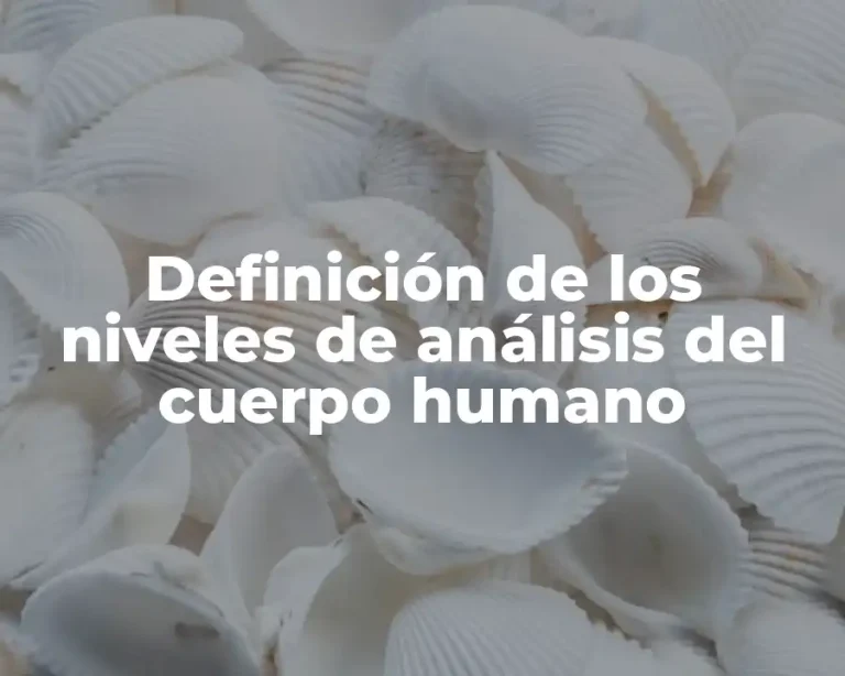 Definición de los niveles de análisis del cuerpo humano