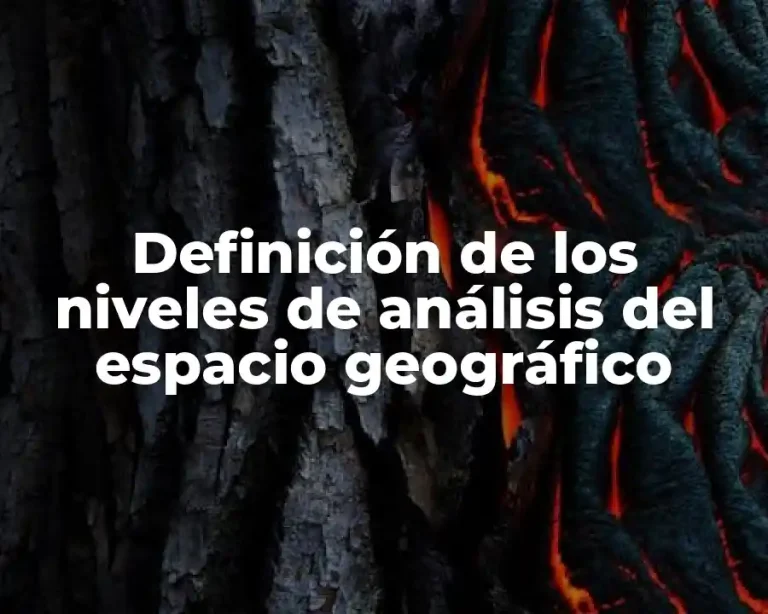 Definición de los niveles de análisis del espacio geográfico