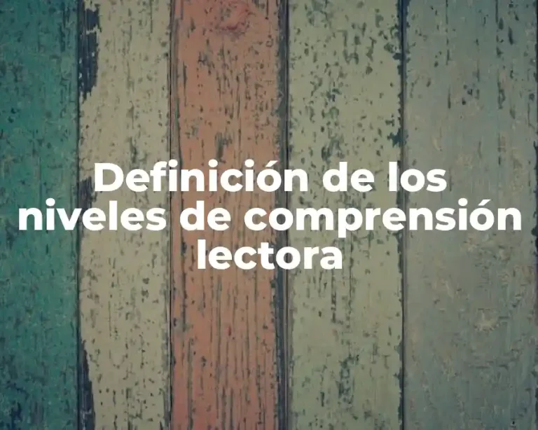 Definición de los niveles de comprensión lectora