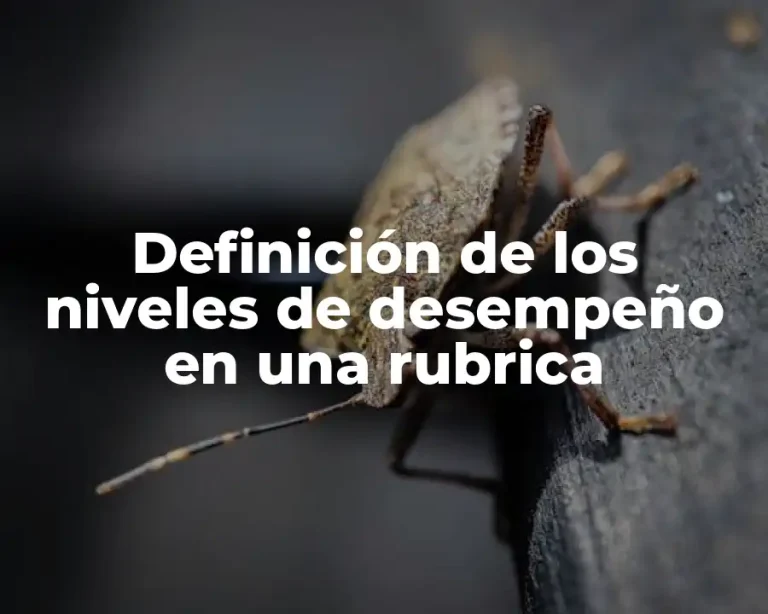 Definición de los niveles de desempeño en una rubrica