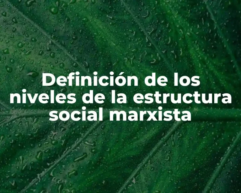 Definición de los niveles de la estructura social marxista
