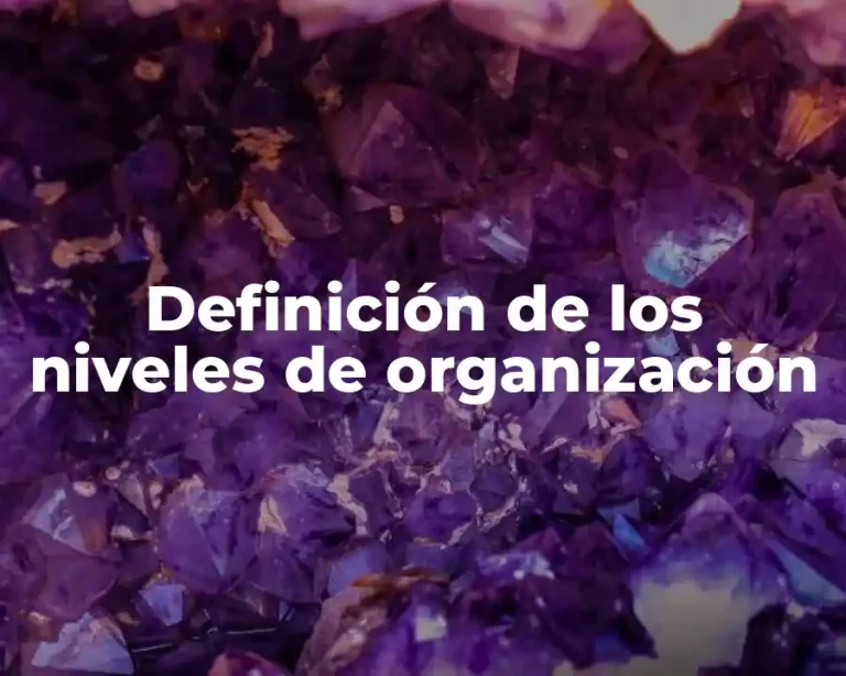 Definición de los niveles de organización