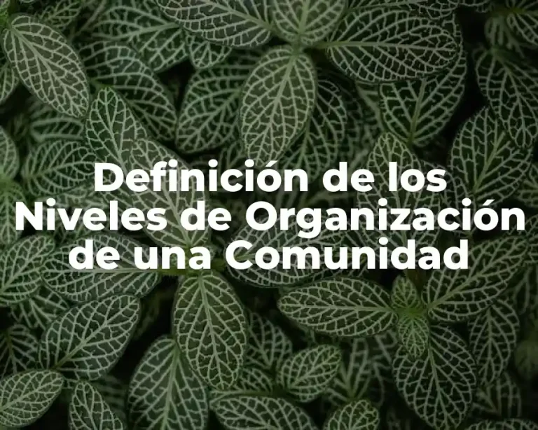 Definición de los Niveles de Organización de una Comunidad