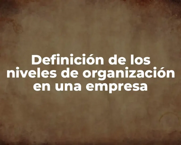 Definición de los niveles de organización en una empresa