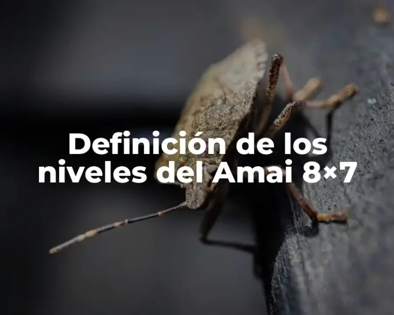 Definición de los niveles del Amai 8×7