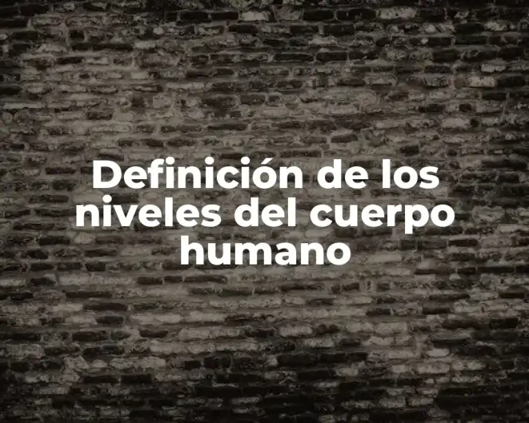 Definición de los niveles del cuerpo humano