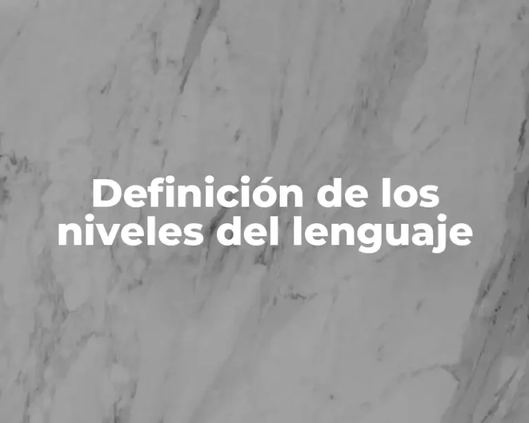 Definición de los niveles del lenguaje