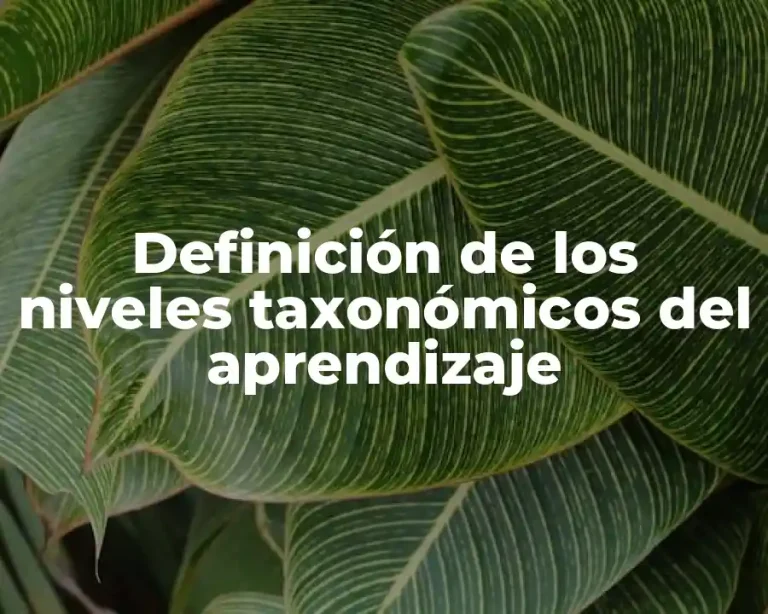 Definición de los niveles taxonómicos del aprendizaje
