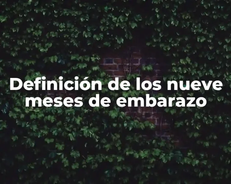 Definición de los nueve meses de embarazo