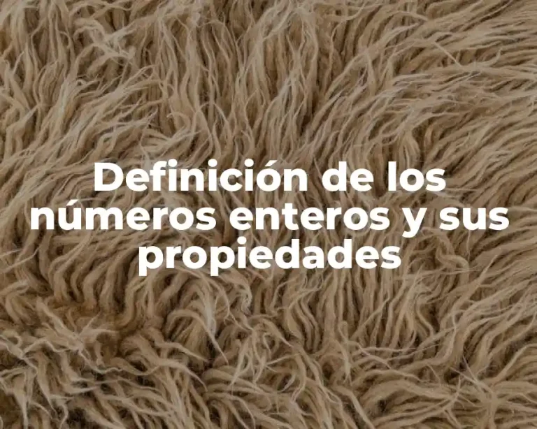 Definición de los números enteros y sus propiedades