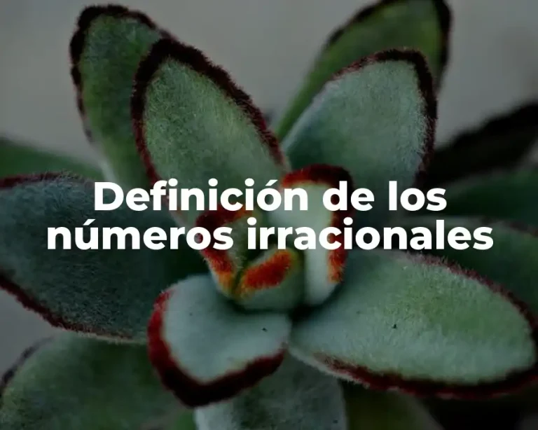 Definición de los números irracionales