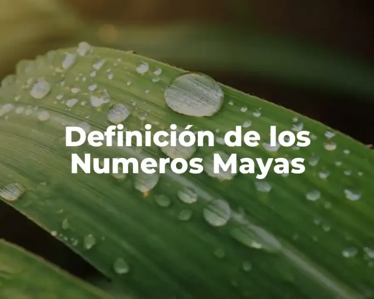Definición de los Numeros Mayas