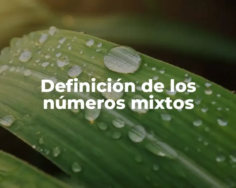Definición de los números mixtos