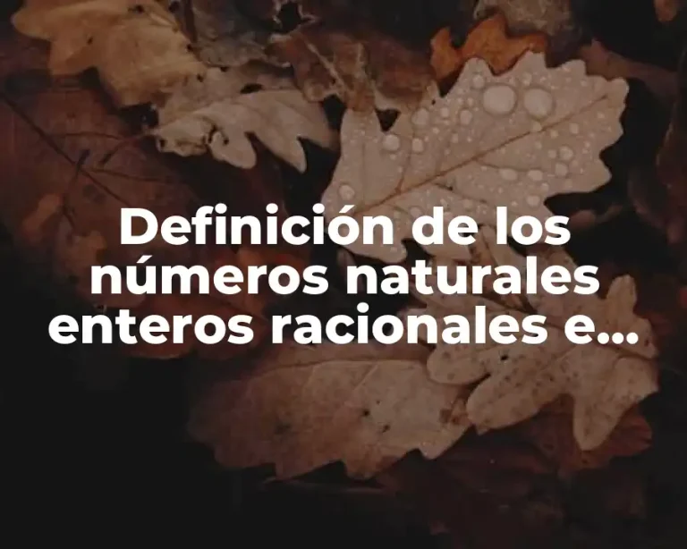 Definición de los números naturales enteros racionales e irracionales