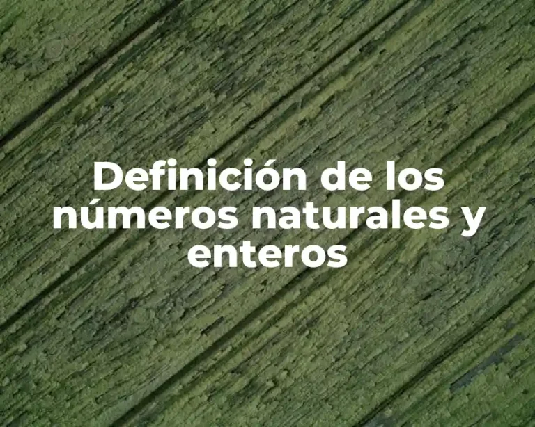 Definición de los números naturales y enteros