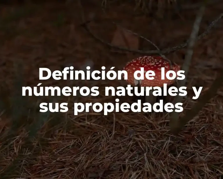 Definición de los números naturales y sus propiedades
