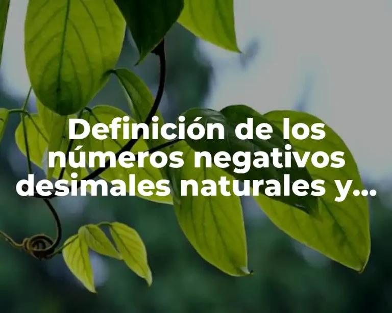 Definición de los números negativos desimales naturales y fracciones