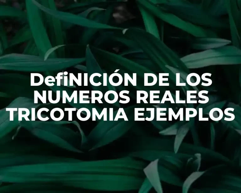 DefiNICIÓN DE LOS NUMEROS REALES TRICOTOMIA EJEMPLOS