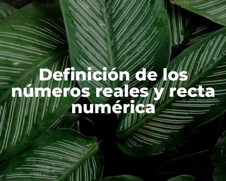 Definición de los números reales y recta numérica
