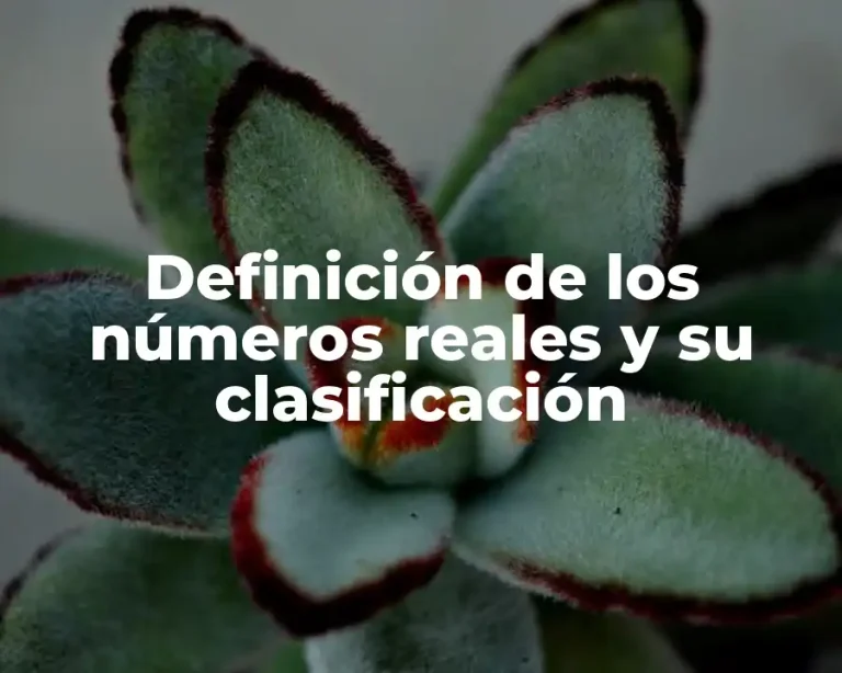 Definición de los números reales y su clasificación