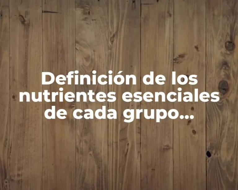 Definición de los nutrientes esenciales de cada grupo alimenticio