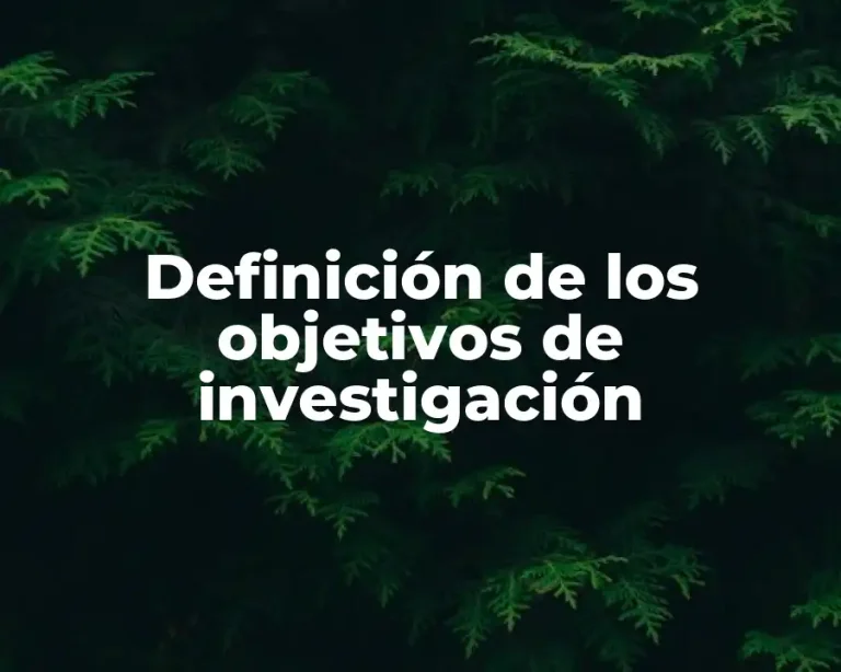 Definición de los objetivos de investigación