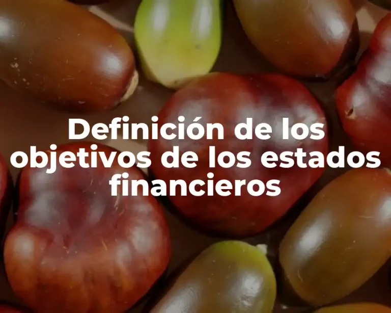 Definición de los objetivos de los estados financieros