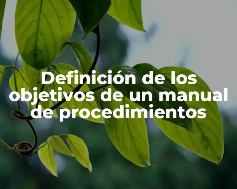 Definición de los objetivos de un manual de procedimientos